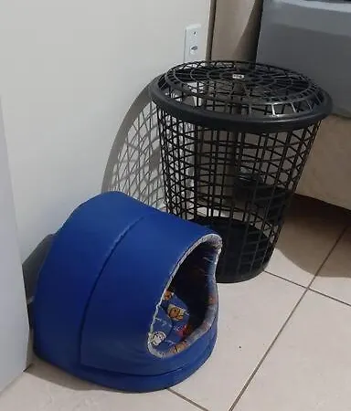 Apto De 2 Quartos Com 2 Ar, Garagem, No Centro Sul Santo Angelo Exterior photo
